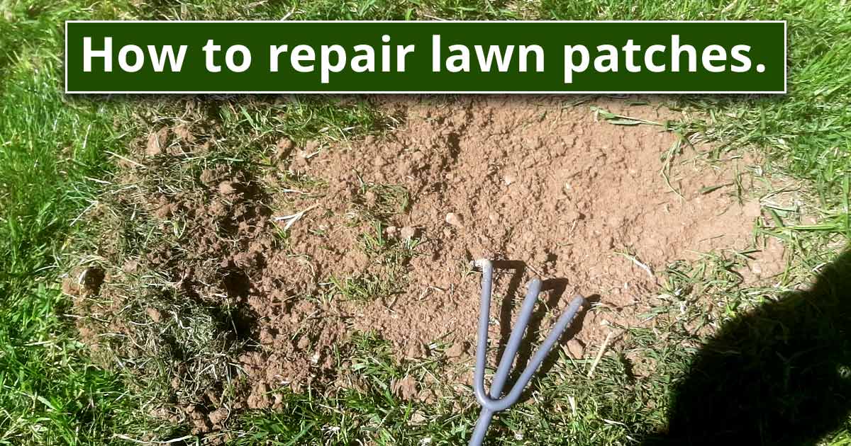How To Repair Brown Patches In Your Lawn