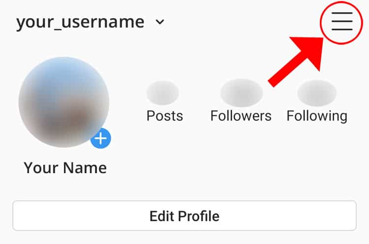 Instagram settings icon