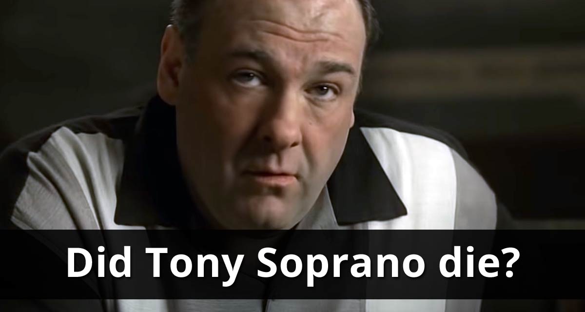 Did Tony Soprano die at the end? The answer is Yes.